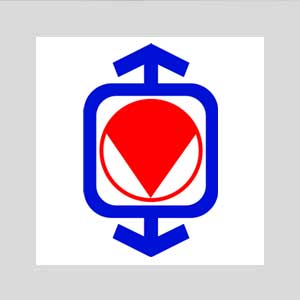 SAFE Association Logo